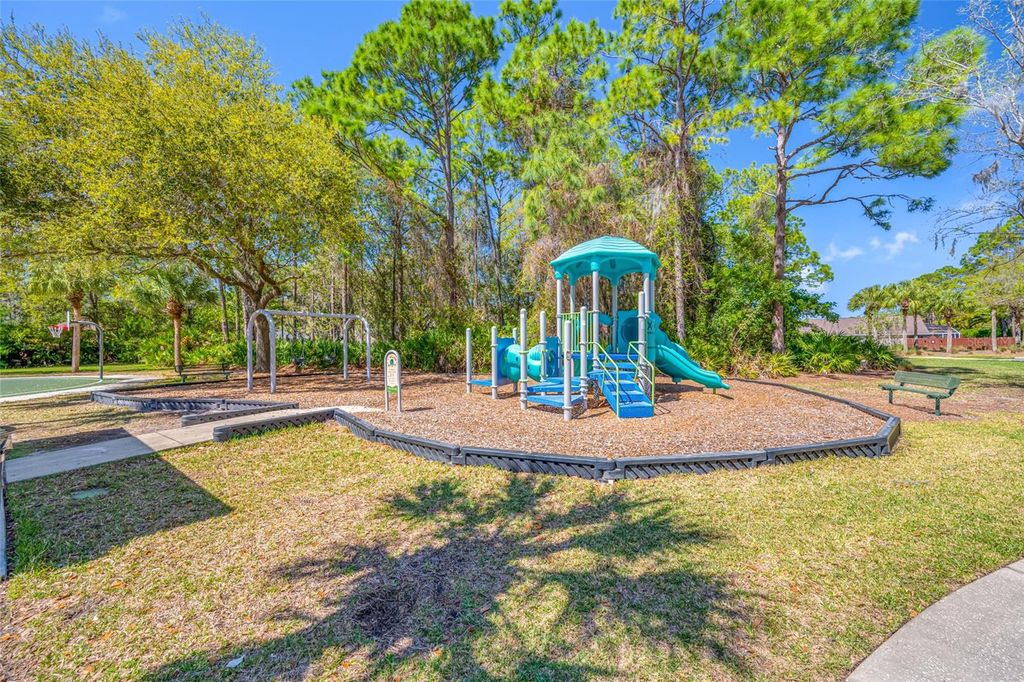 Image 39 of property listing at 14606 CORAL BERRY DRIVE, Tampa, FL 33626