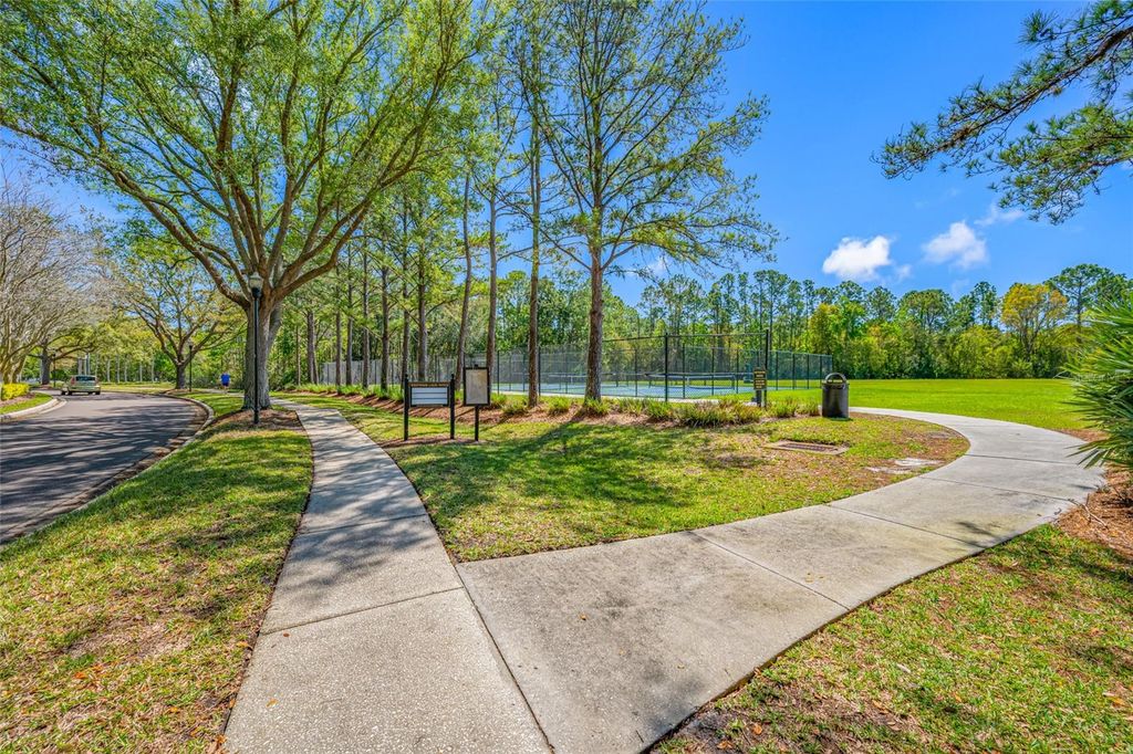 Image 40 of property listing at 14606 CORAL BERRY DRIVE, Tampa, FL 33626