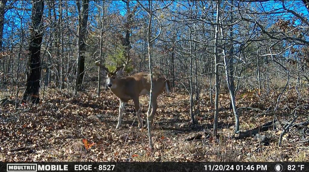 Image 11 of property listing at 36200 EW 1190 Road, Seminole, OK 74868