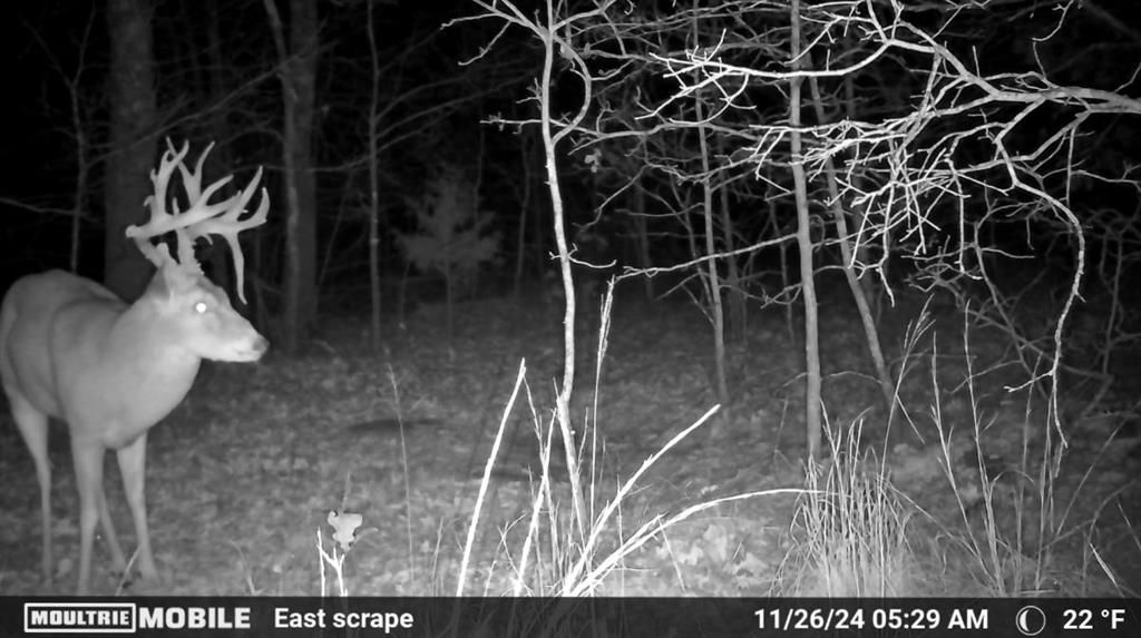 Image 9 of property listing at 36200 EW 1190 Road, Seminole, OK 74868