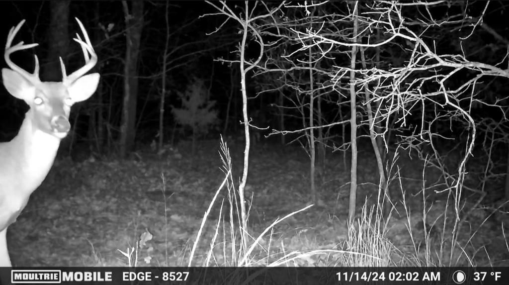 Image 10 of property listing at 36200 EW 1190 Road, Seminole, OK 74868