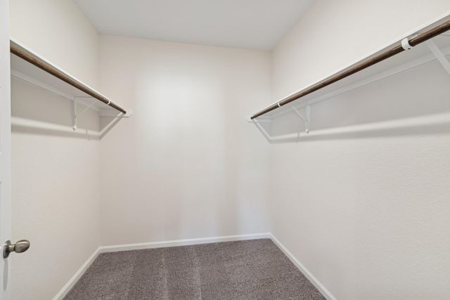 3431 Windmill Palm Drive, Manvel, TX 77578