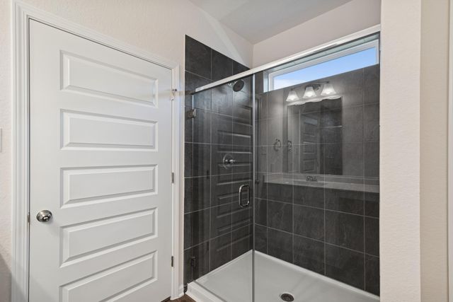3431 Windmill Palm Drive, Manvel, TX 77578