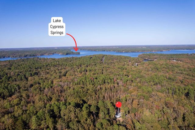 105 Llano, Scroggins, TX 75480