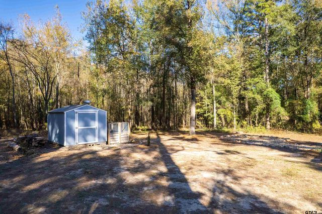 105 Llano, Scroggins, TX 75480