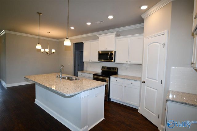 331 River Rock Drive, Madison, AL 35756