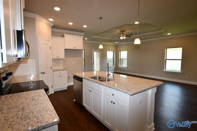 331 River Rock Drive, Madison, AL 35756