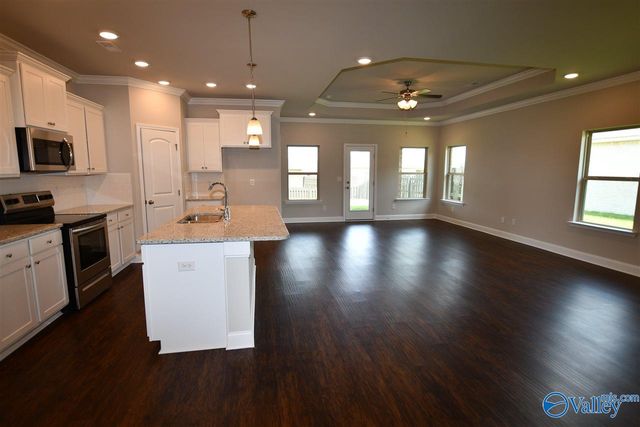 331 River Rock Drive, Madison, AL 35756