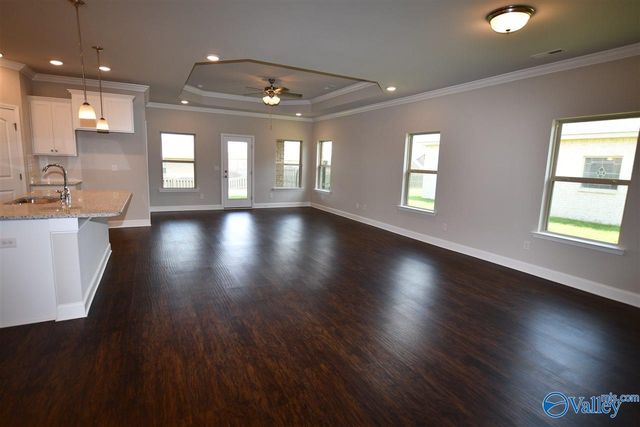 331 River Rock Drive, Madison, AL 35756