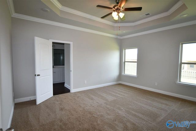 331 River Rock Drive, Madison, AL 35756