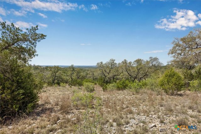 1078 Madrone Road, Fischer, TX 78623