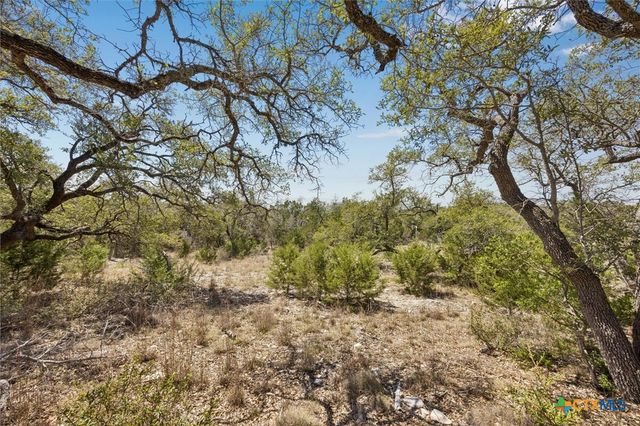 1078 Madrone Road, Fischer, TX 78623