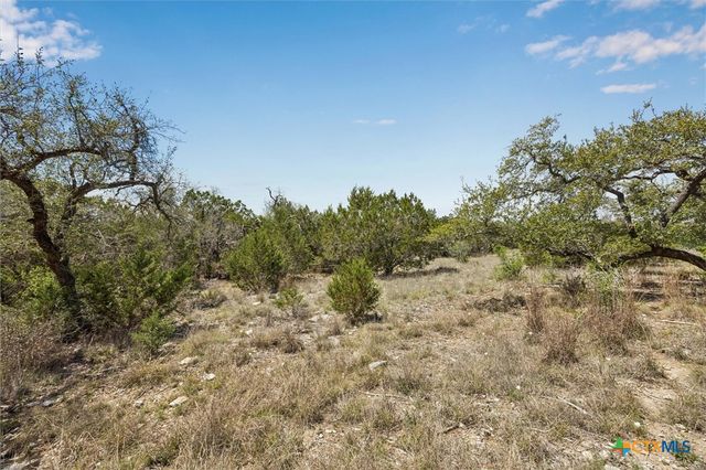 1078 Madrone Road, Fischer, TX 78623