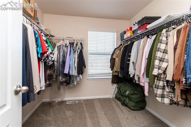 6735 Monterey Pine Loop, Colorado Springs, CO 80927