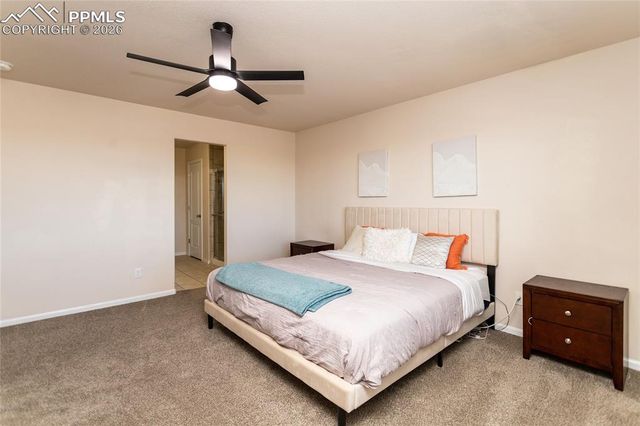 6735 Monterey Pine Loop, Colorado Springs, CO 80927