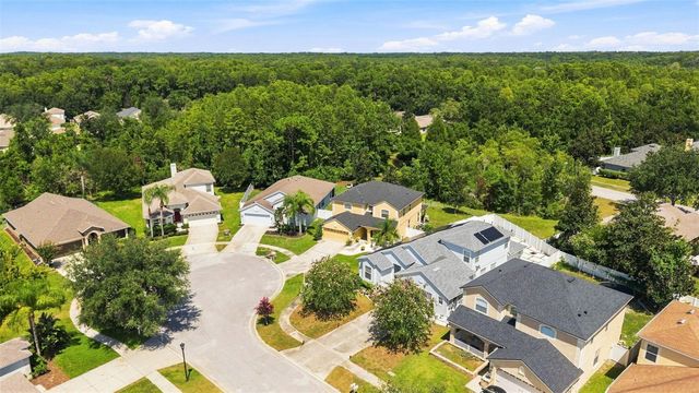 15731 CEDAR ELM TERRACE, Land O Lakes, FL 34638