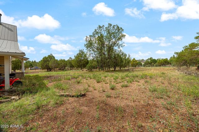 1196 Larson Road, Lakeside, AZ 85929