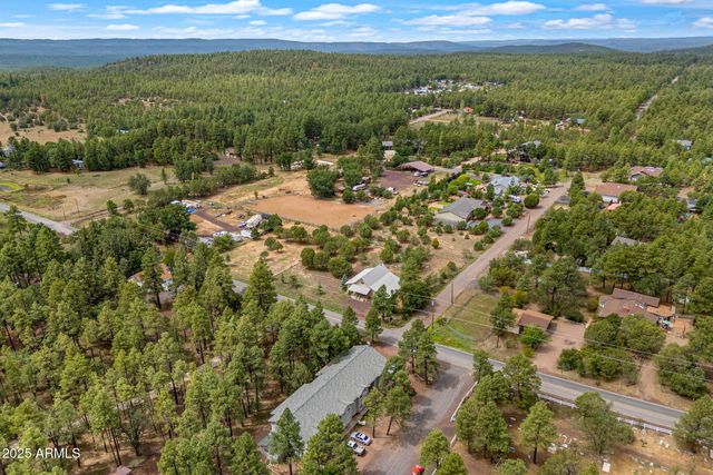 1196 Larson Road, Lakeside, AZ 85929