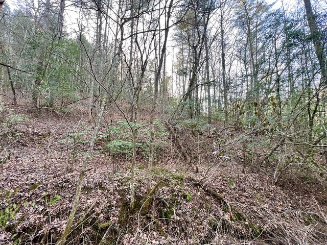 12 ACRE Pleasant Gap Road, Ellijay, GA 30540