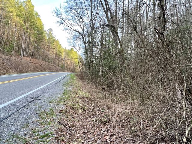 12 ACRE Pleasant Gap Road, Ellijay, GA 30540