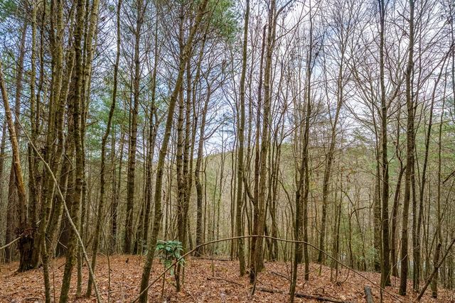 12 ACRE Pleasant Gap Road, Ellijay, GA 30540