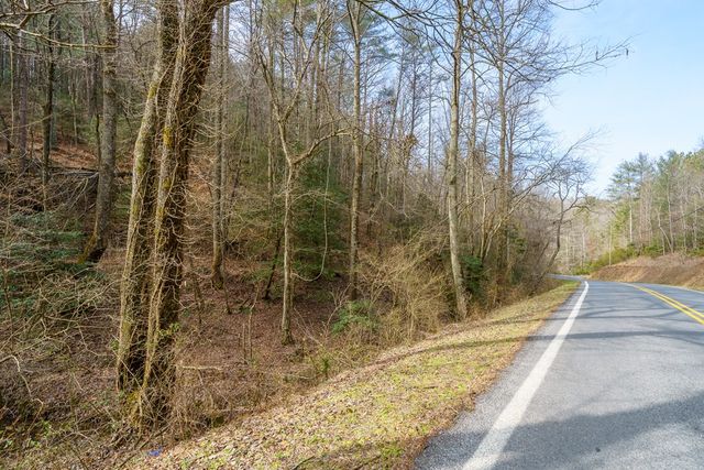12 ACRE Pleasant Gap Road, Ellijay, GA 30540