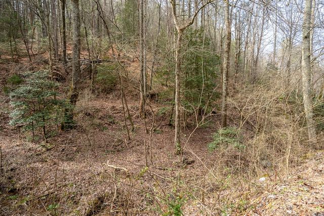 12 ACRE Pleasant Gap Road, Ellijay, GA 30540