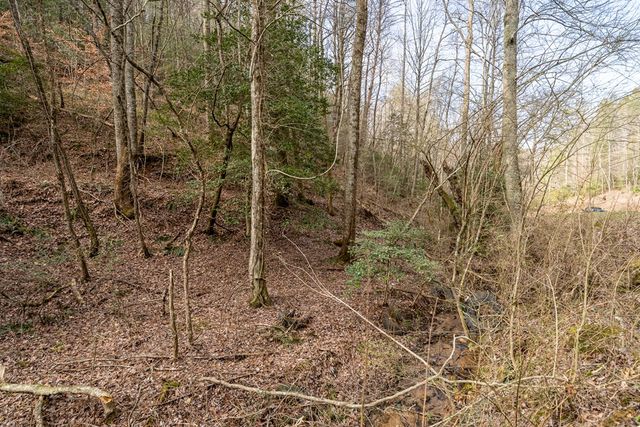 12 ACRE Pleasant Gap Road, Ellijay, GA 30540