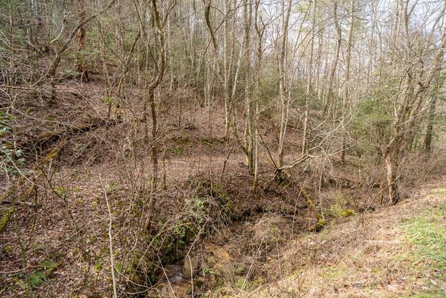 12 ACRE Pleasant Gap Road, Ellijay, GA 30540
