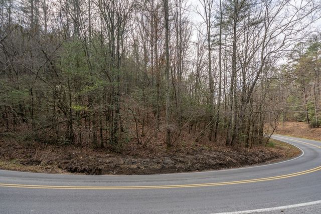 12 ACRE Pleasant Gap Road, Ellijay, GA 30540