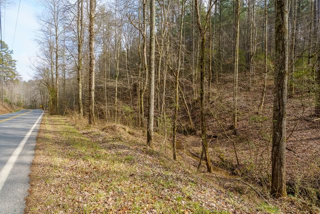 12 ACRE Pleasant Gap Road, Ellijay, GA 30540