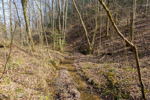 12 ACRE Pleasant Gap Road, Ellijay, GA 30540