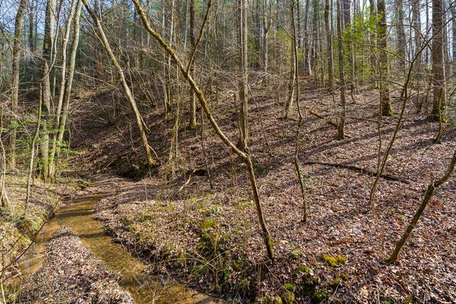 12 ACRE Pleasant Gap Road, Ellijay, GA 30540