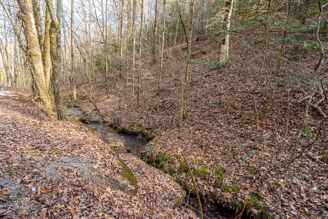 12 ACRE Pleasant Gap Road, Ellijay, GA 30540