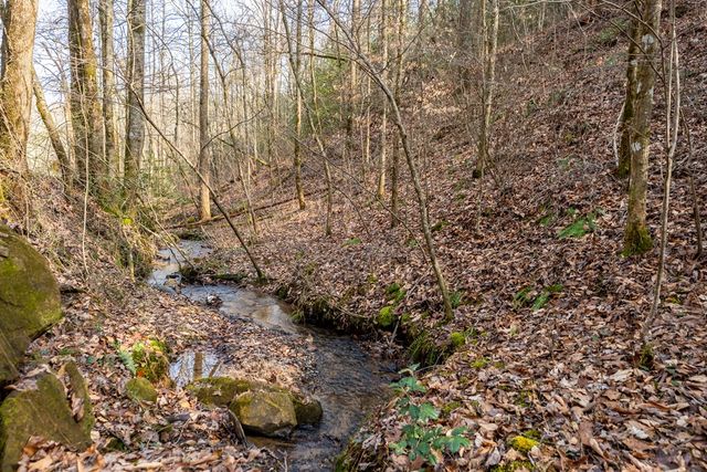 12 ACRE Pleasant Gap Road, Ellijay, GA 30540