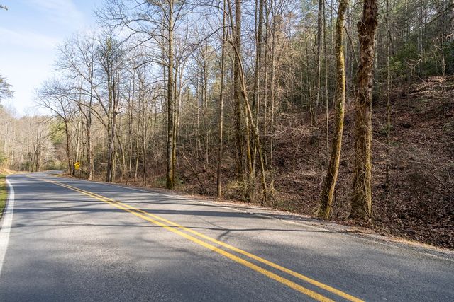 12 ACRE Pleasant Gap Road, Ellijay, GA 30540