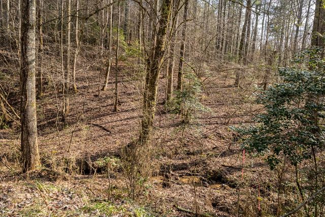 12 ACRE Pleasant Gap Road, Ellijay, GA 30540