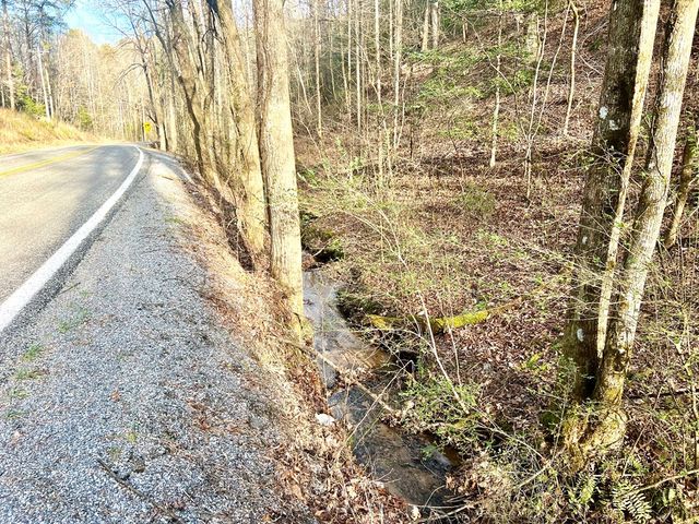 12 ACRE Pleasant Gap Road, Ellijay, GA 30540