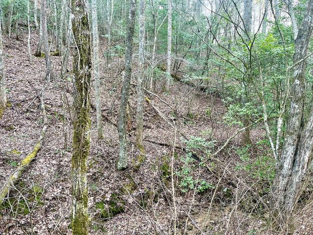 12 ACRE Pleasant Gap Road, Ellijay, GA 30540