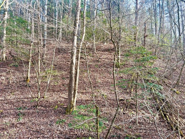 12 ACRE Pleasant Gap Road, Ellijay, GA 30540