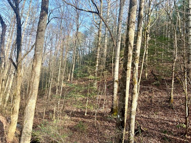 12 ACRE Pleasant Gap Road, Ellijay, GA 30540