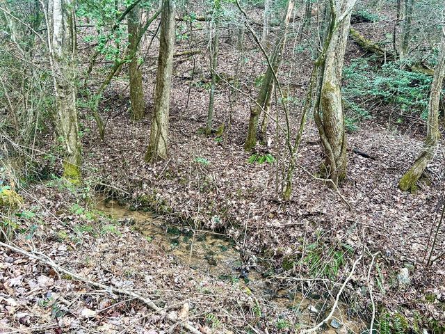 12 ACRE Pleasant Gap Road, Ellijay, GA 30540