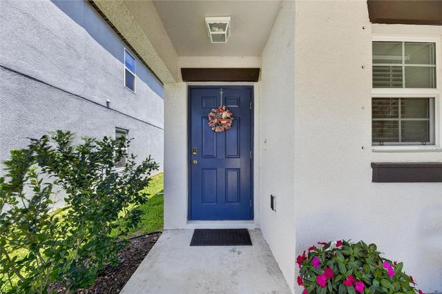 10356 BLUE PLUME COURT, Riverview, FL 33578