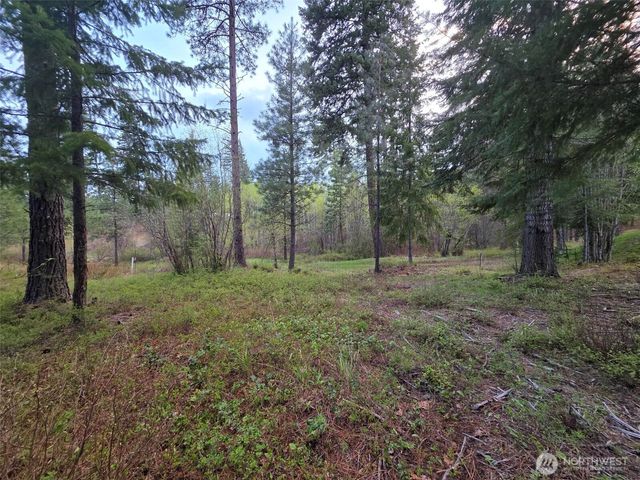 15 Lot Old Grove Trail, Cle Elum, WA 98922