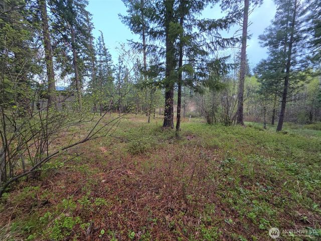 15 Lot Old Grove Trail, Cle Elum, WA 98922