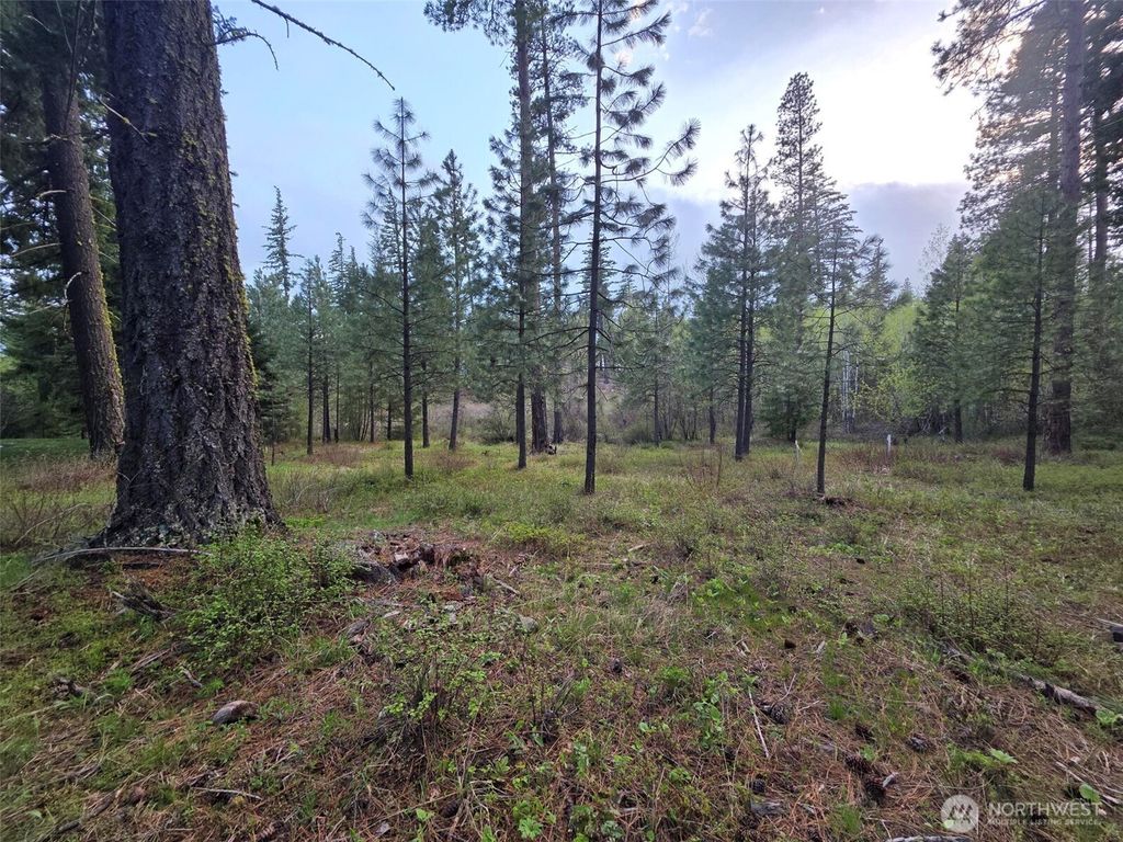 15 Lot Old Grove Trail, Cle Elum, WA 98922