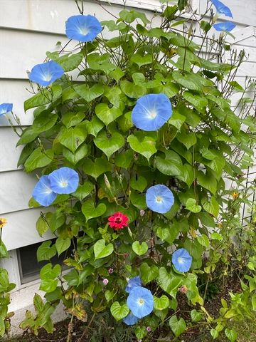 827 Pike Ave, Attleboro, MA 02703