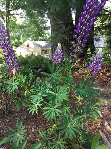 827 Pike Ave, Attleboro, MA 02703