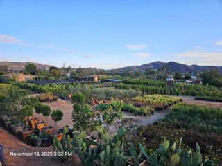 717 Ora Avo, Vista, CA 92084