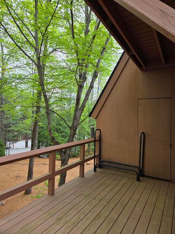 841 Cove Drive, Grantham, NH 03753